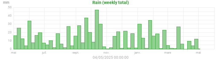 rain